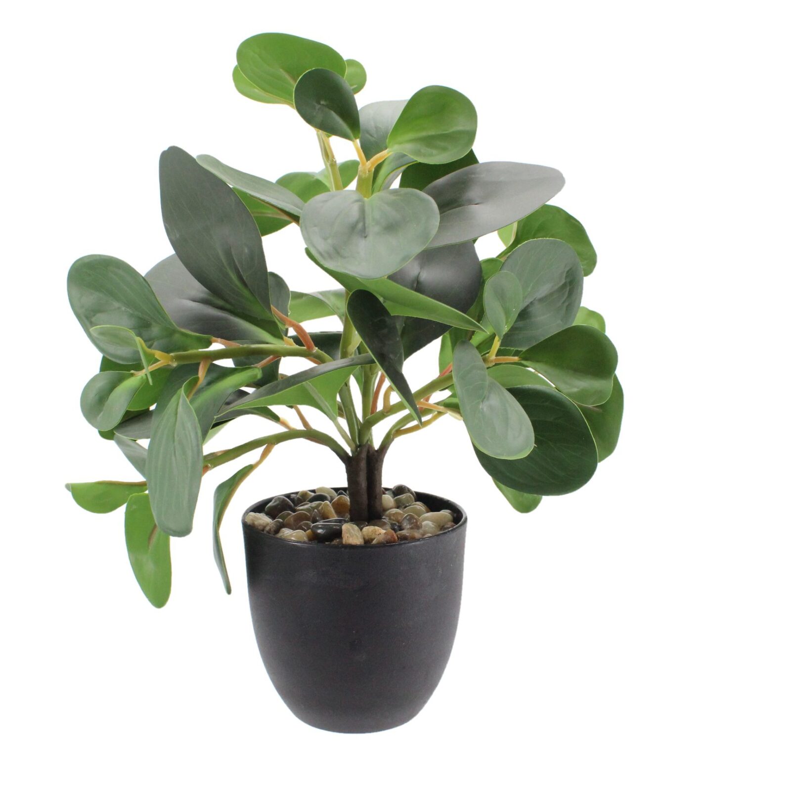 Artificial Potted Peperomia Obtusifolia Plant