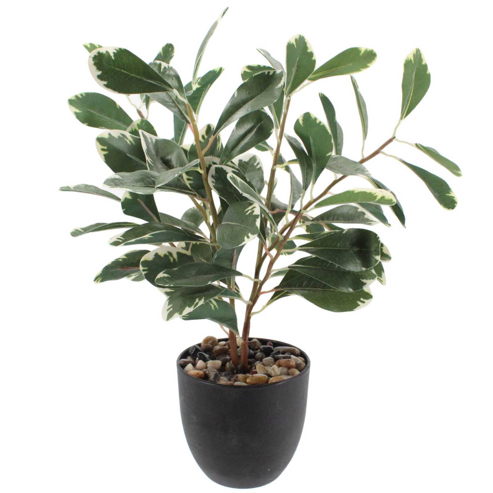 Potted Artificial Lifelike Plant Variegated Pittosporum
