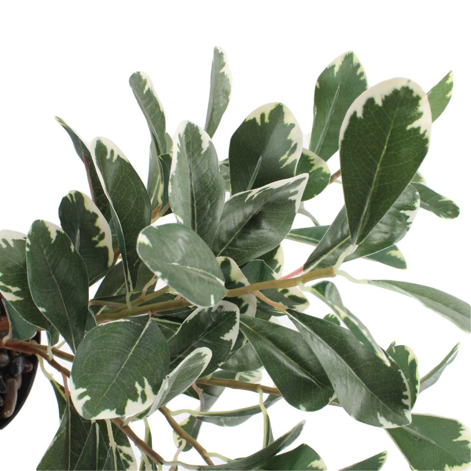 Potted Artificial Lifelike Plant Variegated Pittosporum - Image 2