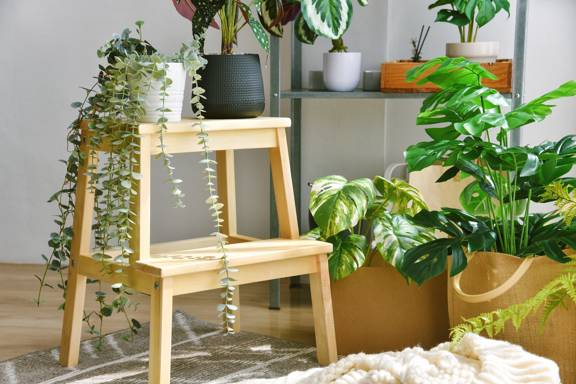 Artificial plant, Indoor tropical natural houseplant for home interior and air purification