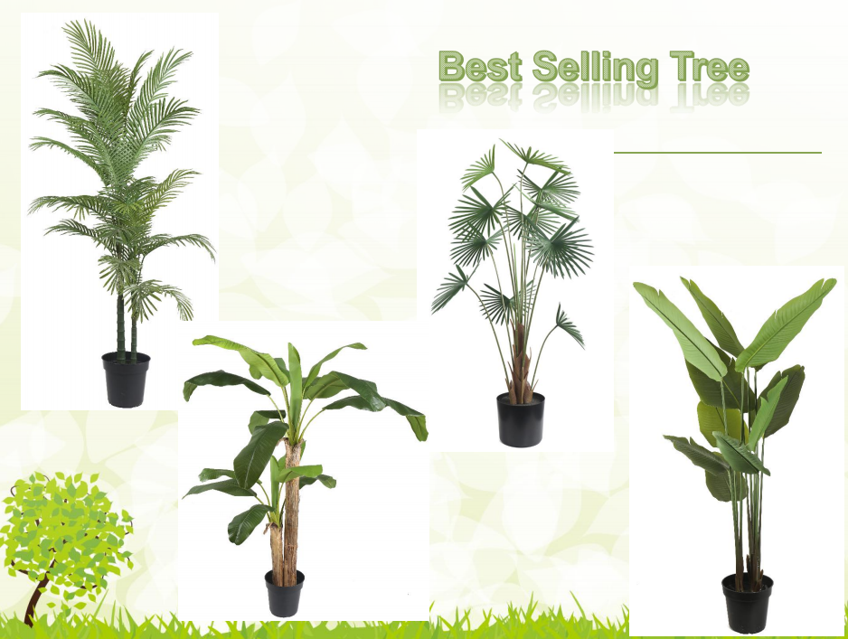 Best Selling Trees