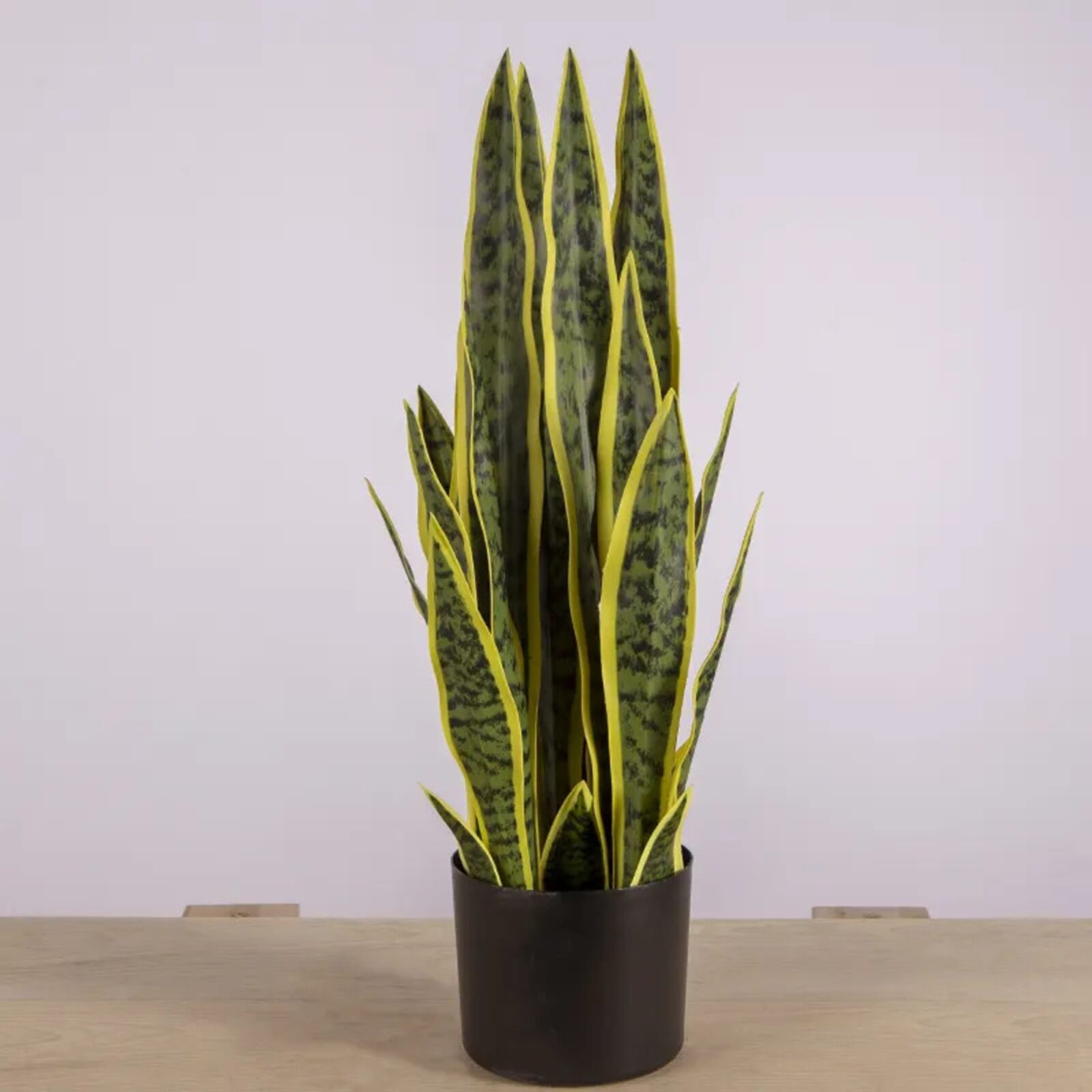 Medium Size Artificial Bonsai Snake Plant - Image 5