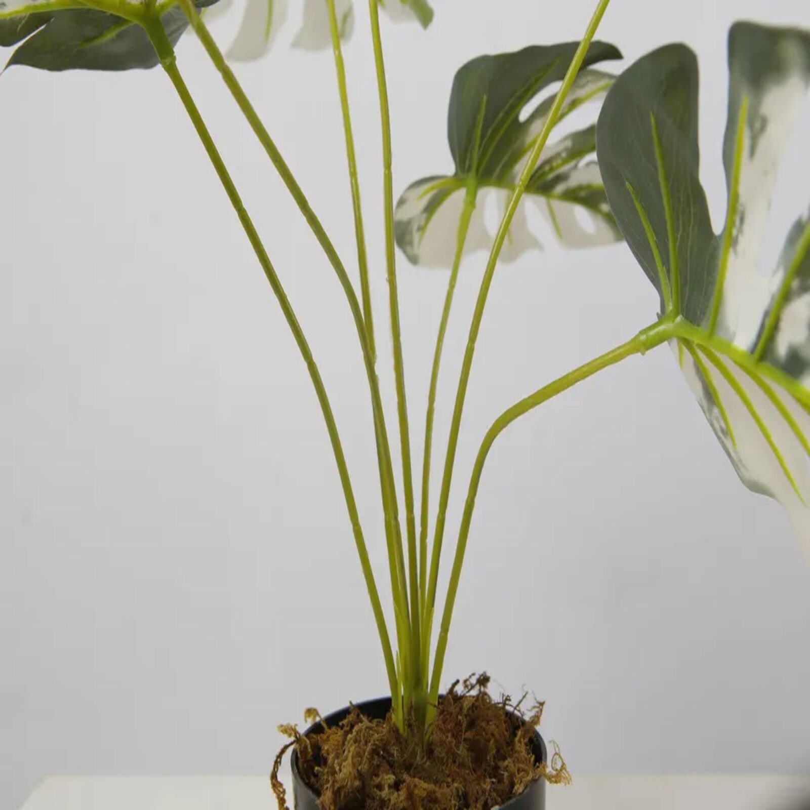 Artificial Plants Bonsai Monstera Plants