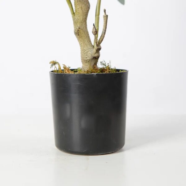 Faux Potted Artificial Plants Olive Tree
