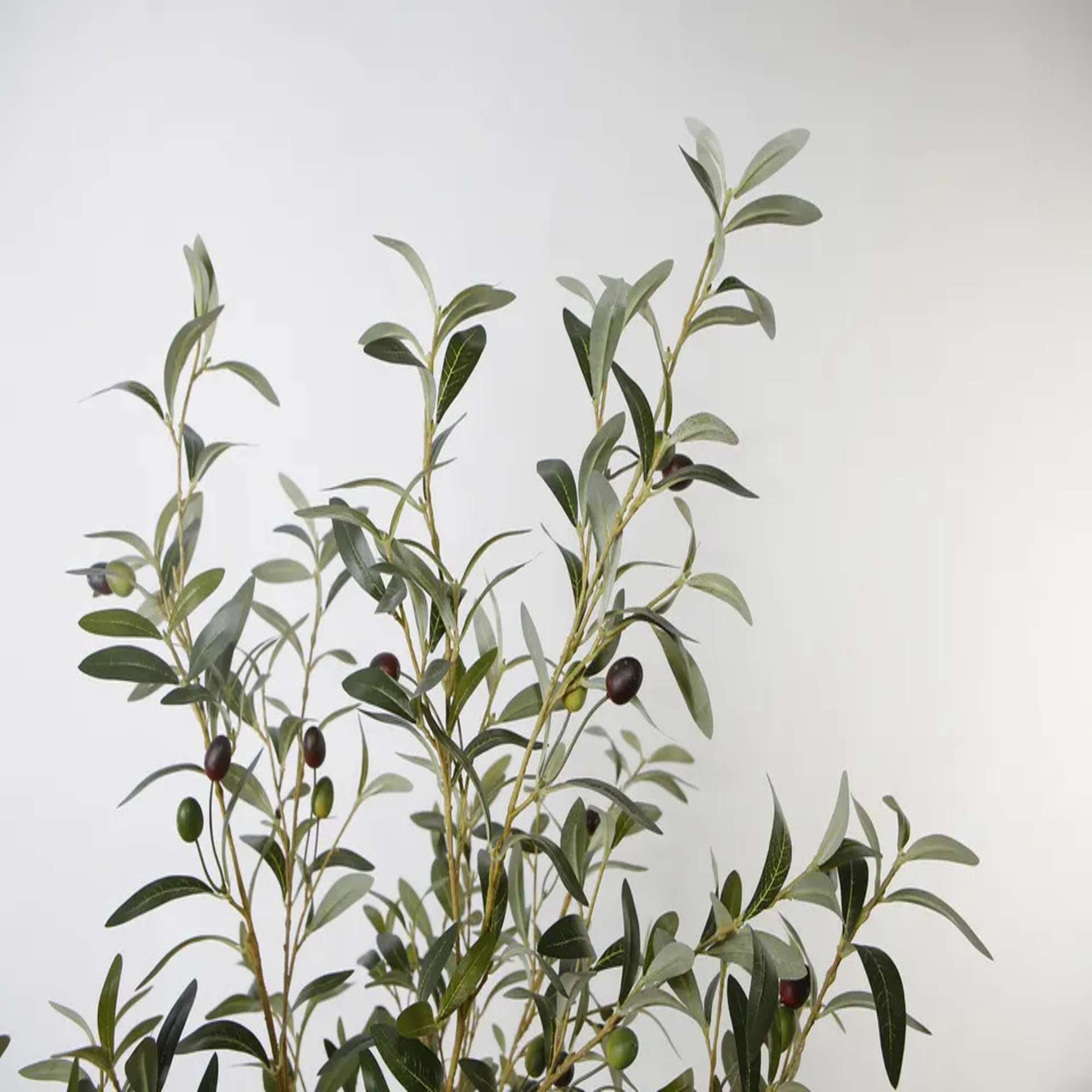 Olive Tree Artificial