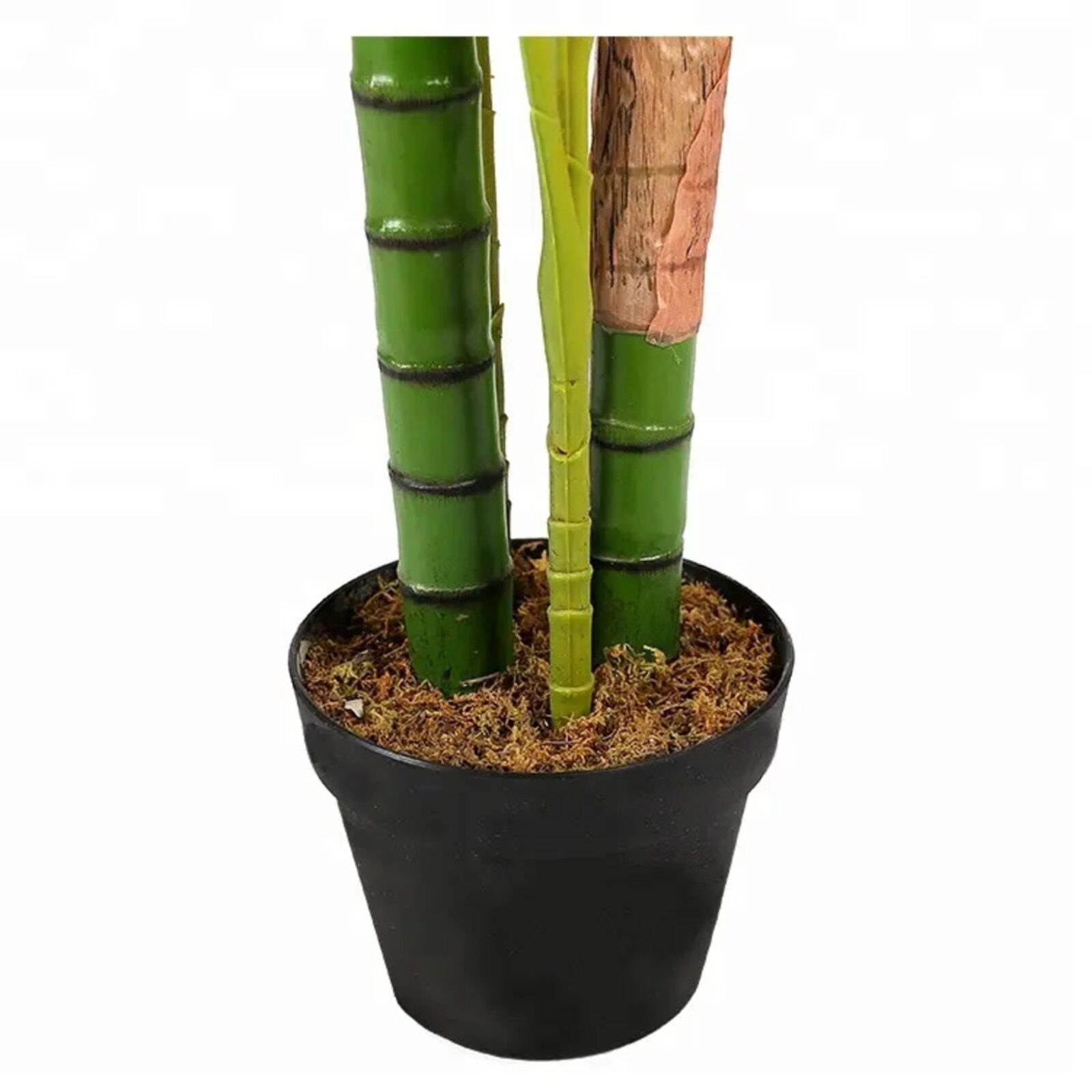 Künstliche Hawaii-Palmen im Topf - Bild 3