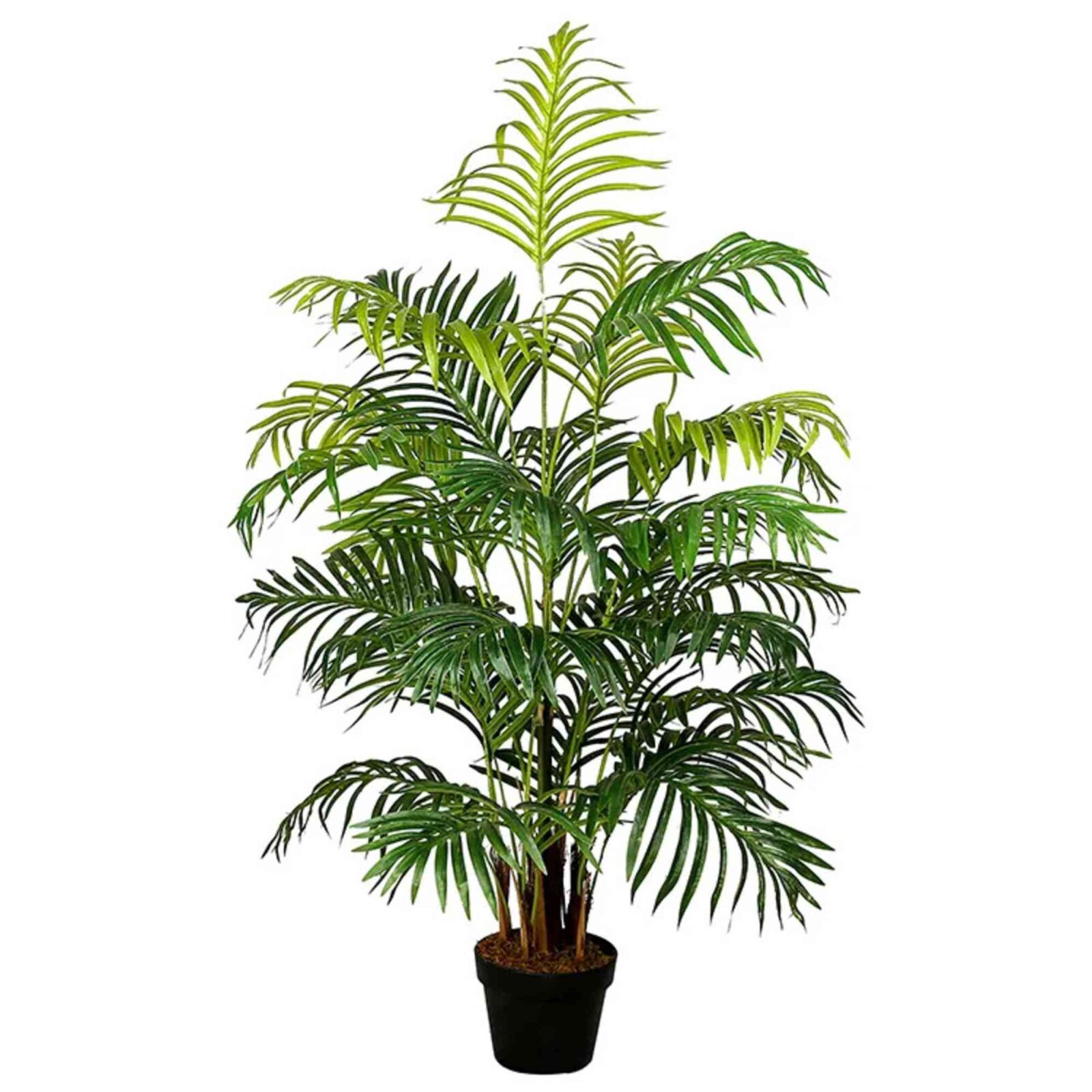 Künstlicher Hawaii-Palme-Kwai-Pflanzenbaum-Bonsai