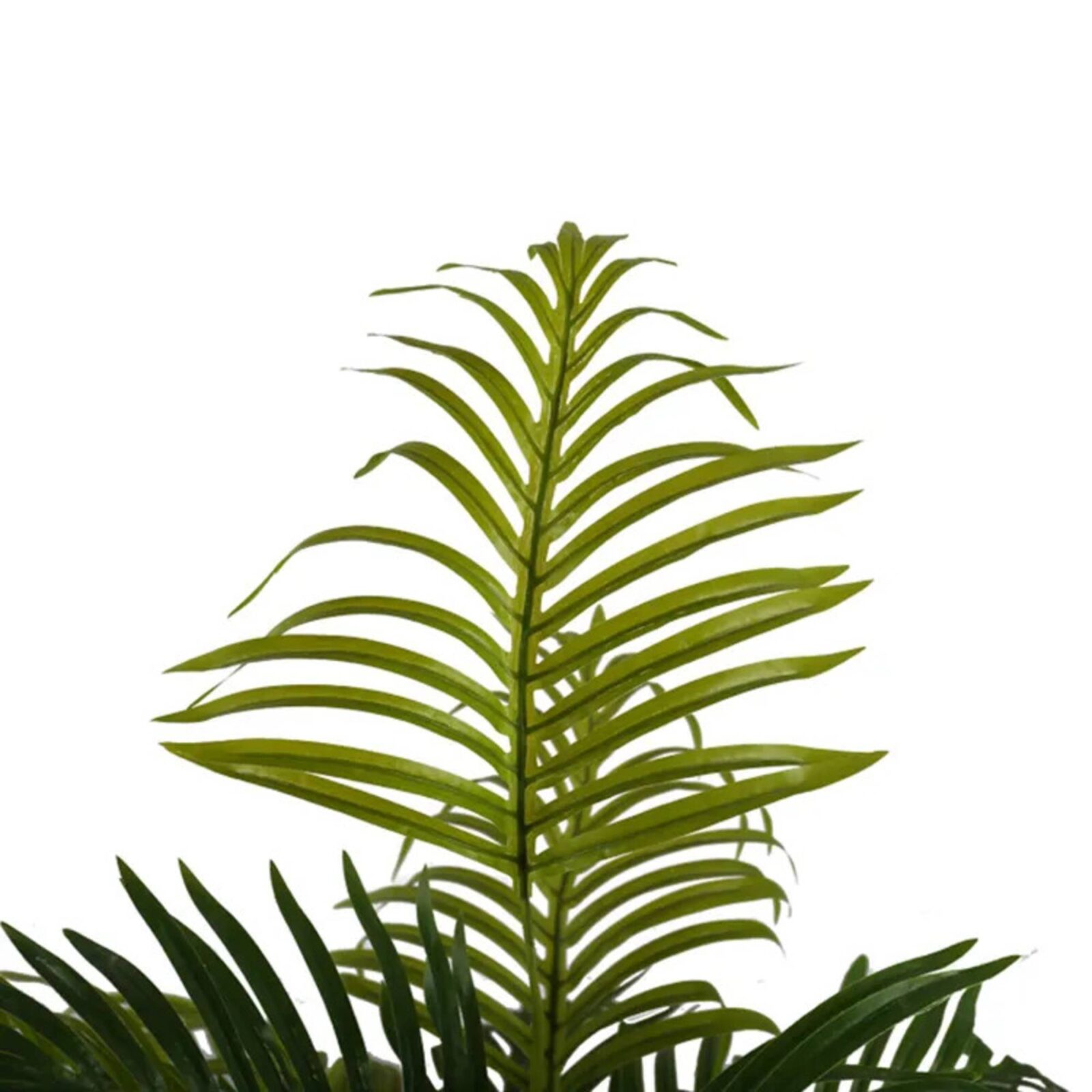 Künstliche Hawaii Palme Kwai Pflanze Baum Bonsai - Bild 2