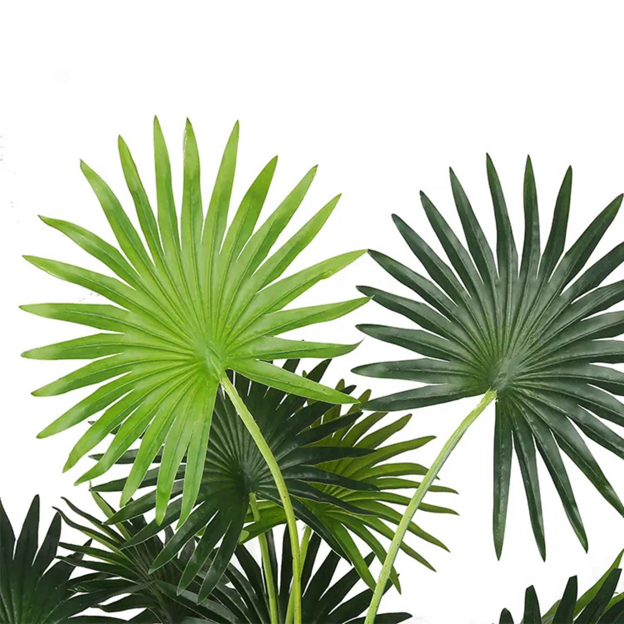 Artificial Palm Plants Plastic Fan Palm Tree