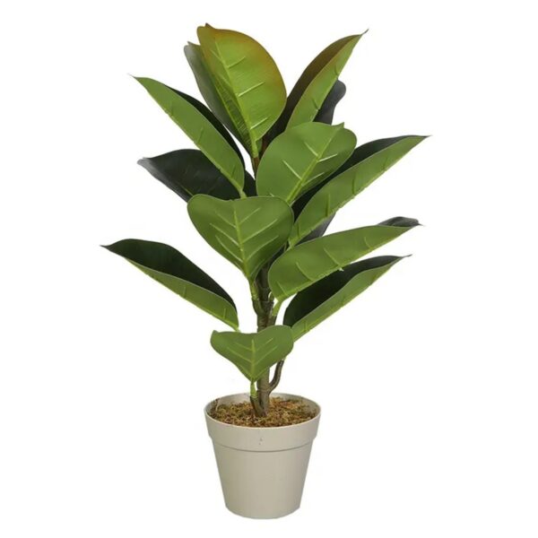 Rubber Plant Artificial Tree for Living Room