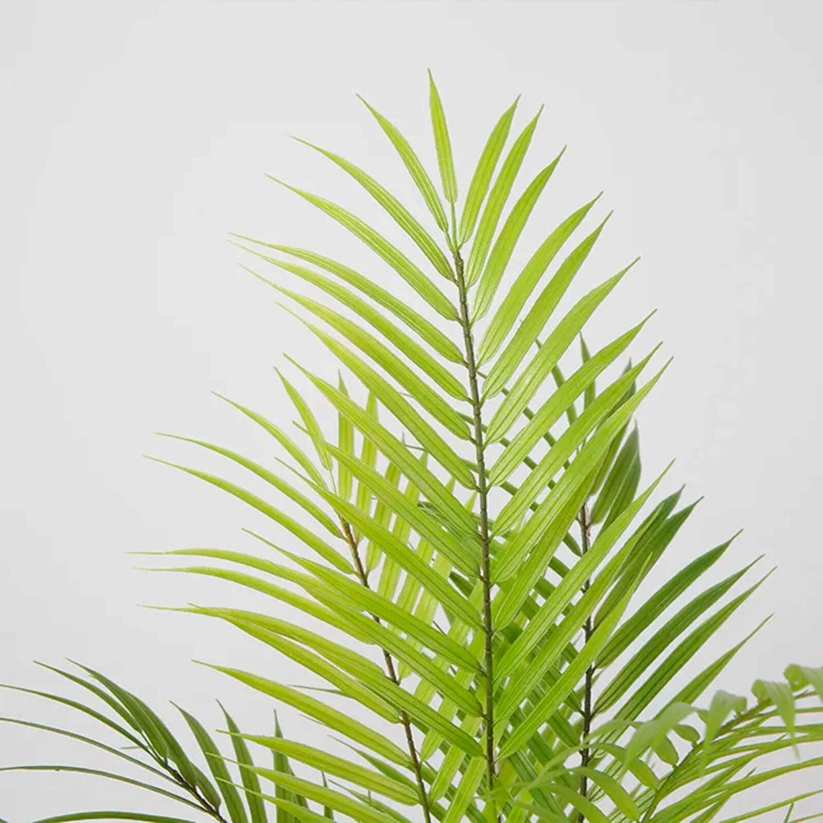 Green Areca Palm Tree Artificial Tropical Palm