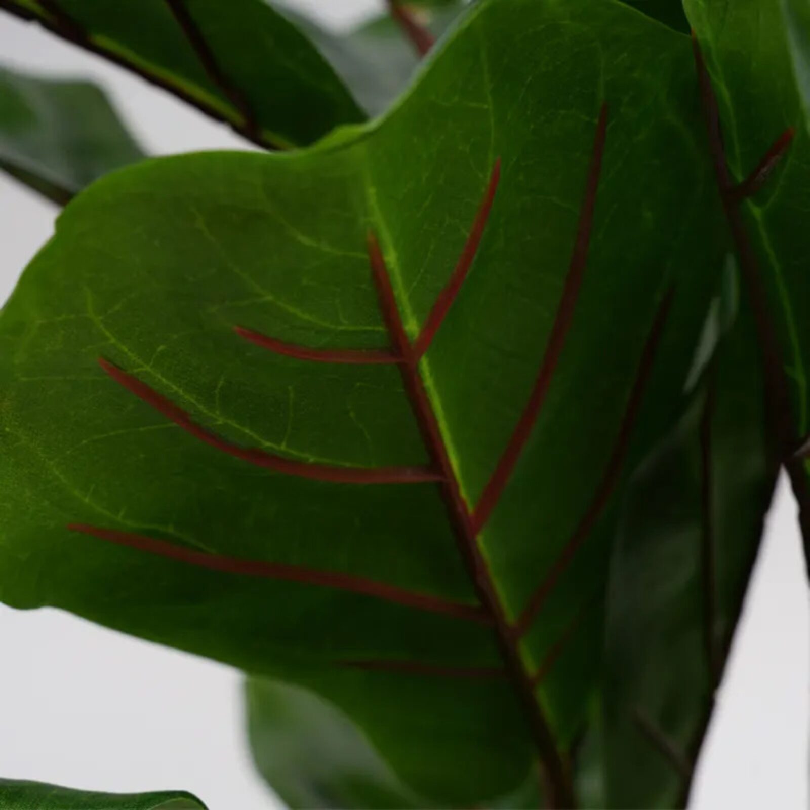 Artificial Fiddle Leaf Fig Tree