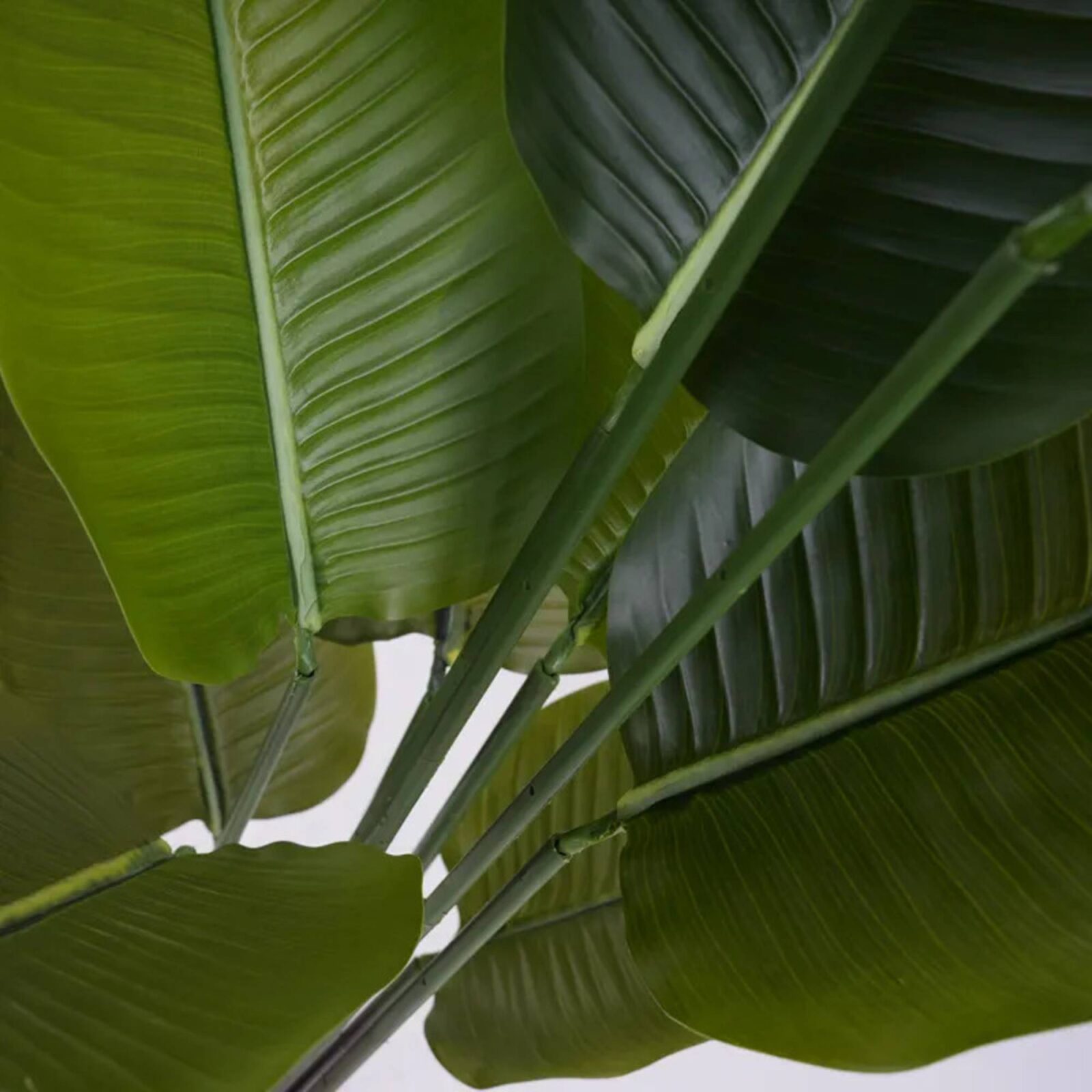 Artificial Paradise Tree Travelers Palm Interior Plant - Image 3
