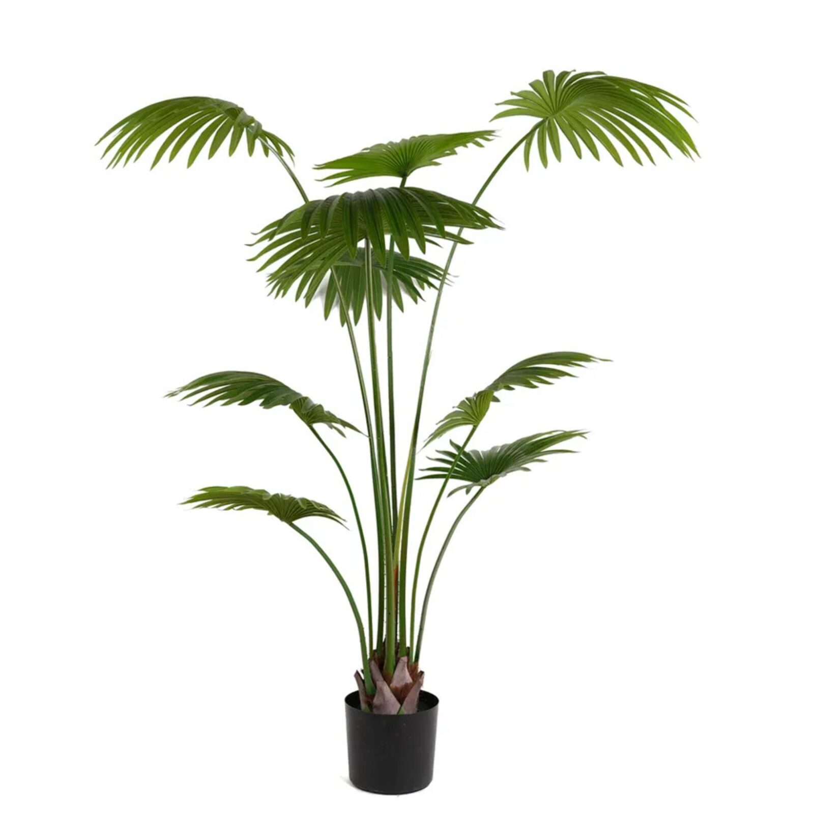 Künstliche Fächerpalme, Grünpflanze, künstlicher Baum