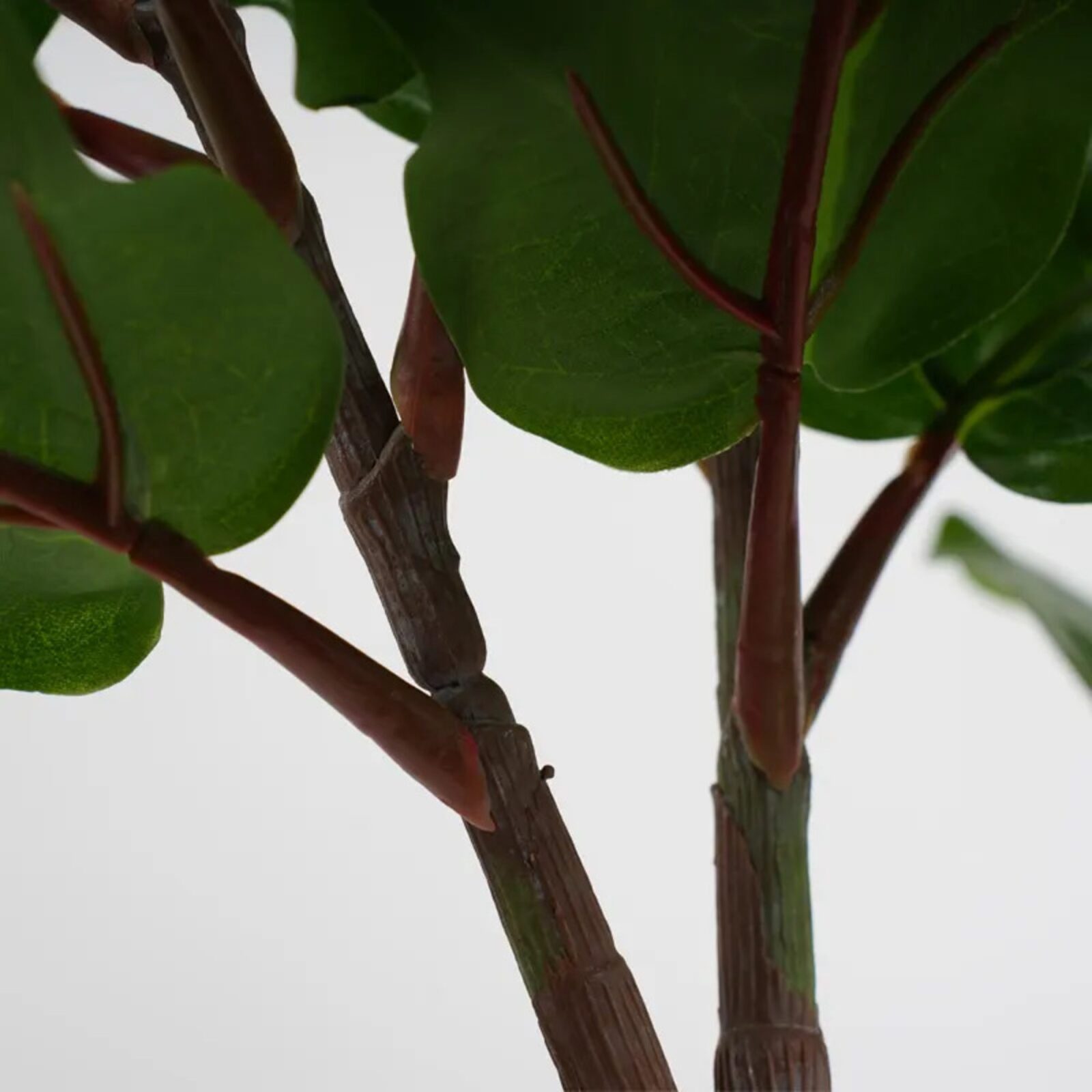 Künstliche Pflanzen Ficus Fiddle Leaf Fig
