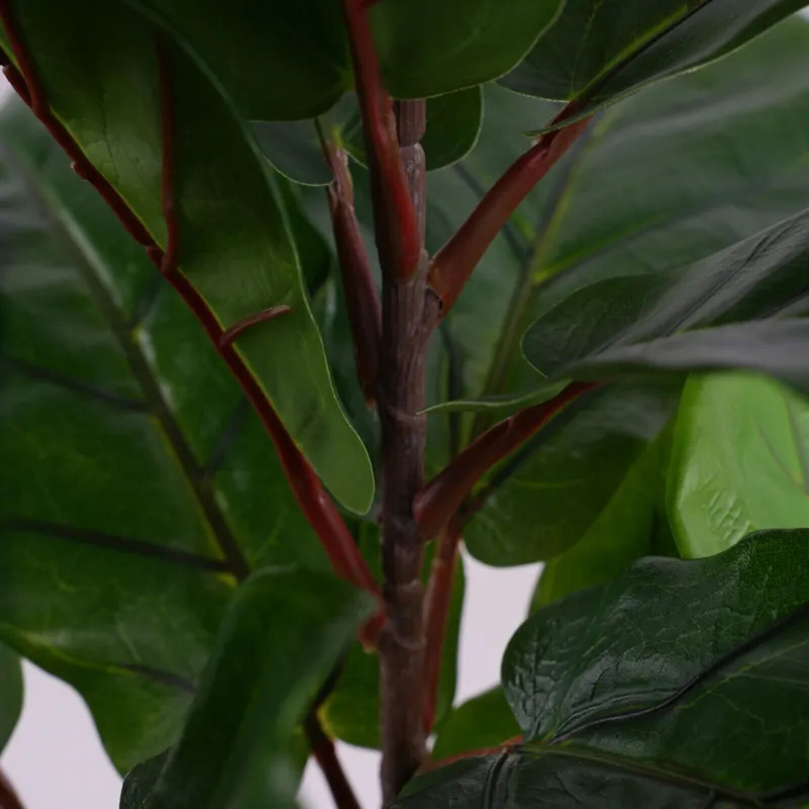 Künstliche Pflanzen Ficus Fiddle Leaf Fig