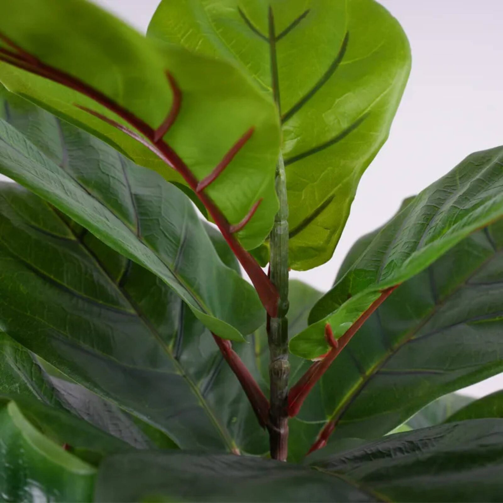 Künstliche Pflanzen Ficus Fiddle Leaf Fig
