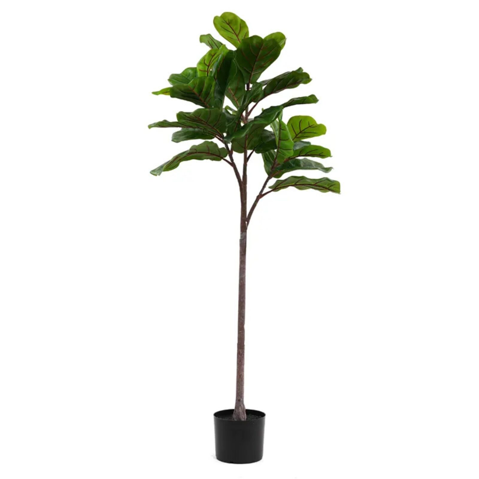 Künstliche Pflanzen Ficus Fiddle Leaf Fig