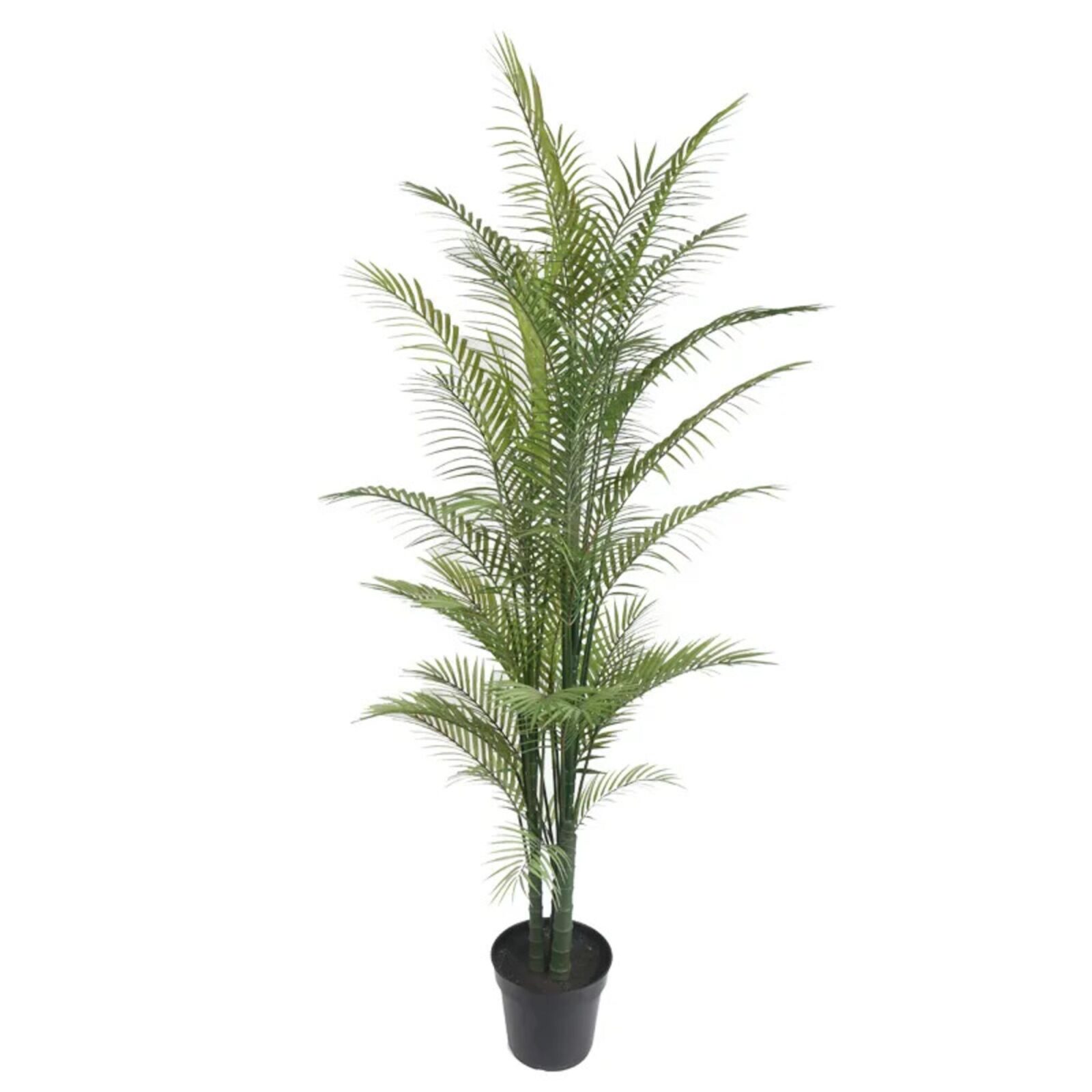 Künstliche Areca-Palmen aus PE - Bild 6