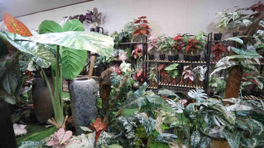 Artificial Plants Showingroom