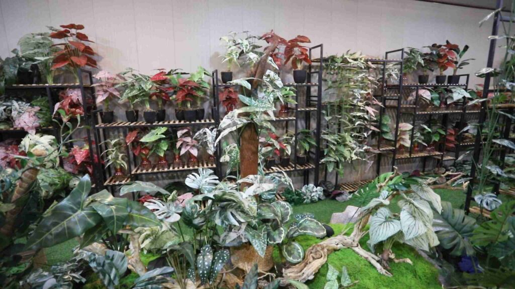 Artificial Plants Showingroom