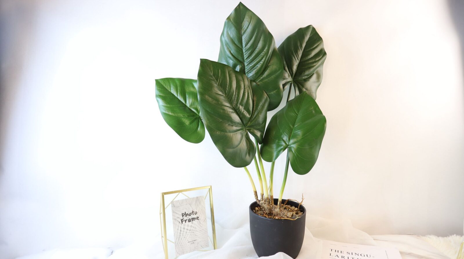 Faux Potted Caladium Philo Plant - Image 4