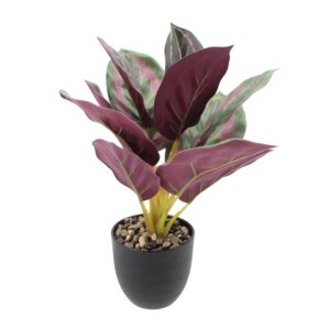 Artificial Plants with Pot Calathea Makoyana