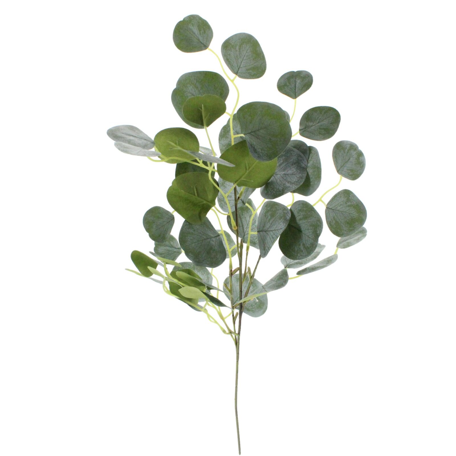 Faux Green Silver Dollar Eucalyptus Leaf Pick - Image 3