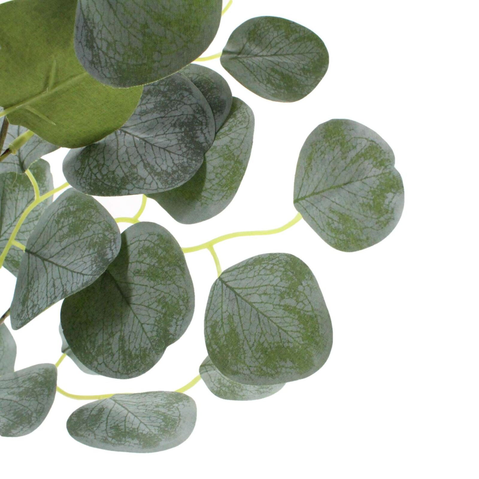 Faux Green Silver Dollar Eucalyptus Leaf Pick - Image 4