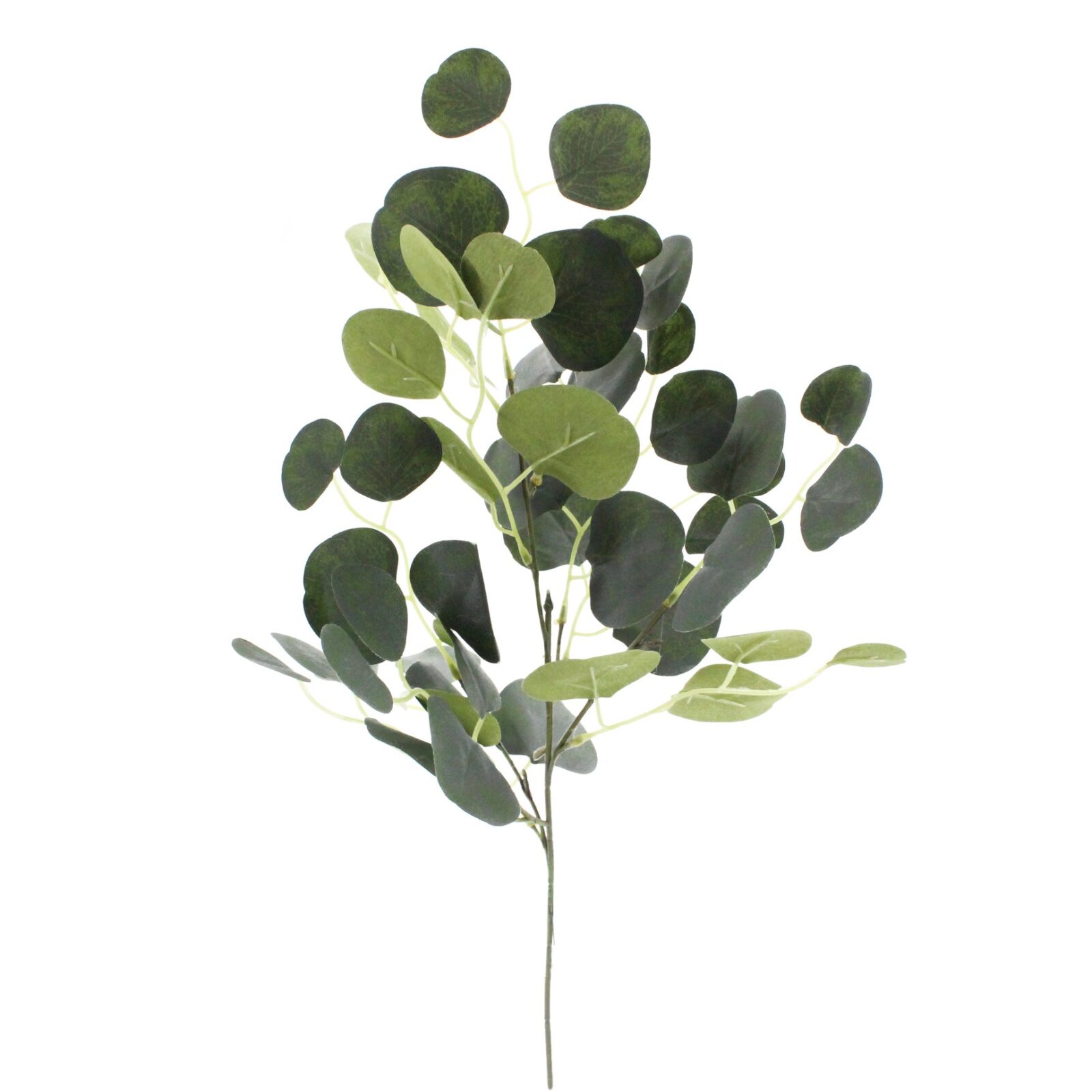 Faux Green Silver Dollar Eucalyptus Leaf Pick - Image 5