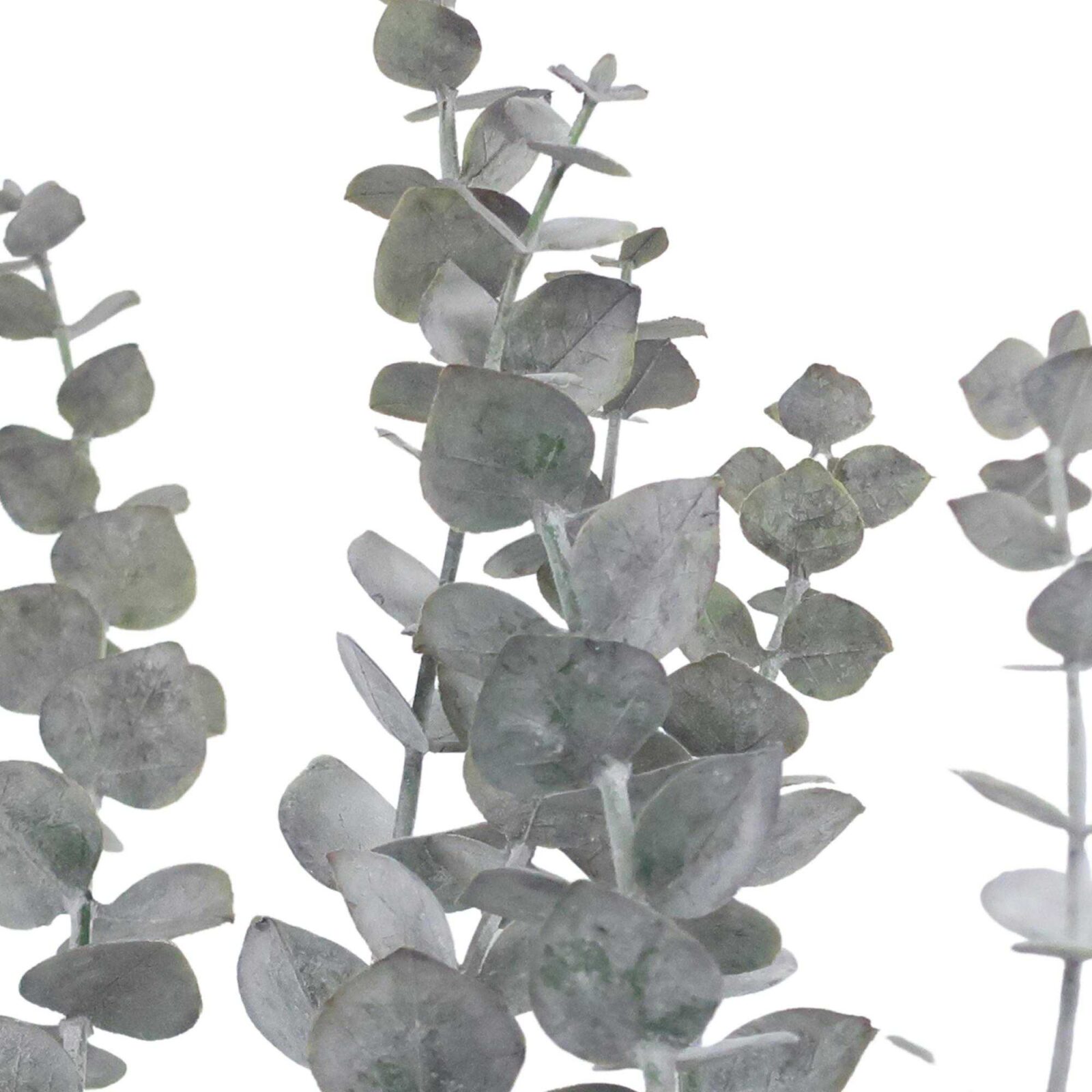 Flocked Eucalyptus and Fern Bundle - Image 3