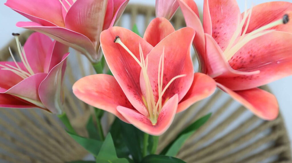 After washing, let the flowers air dry completely before storing or arranging them.