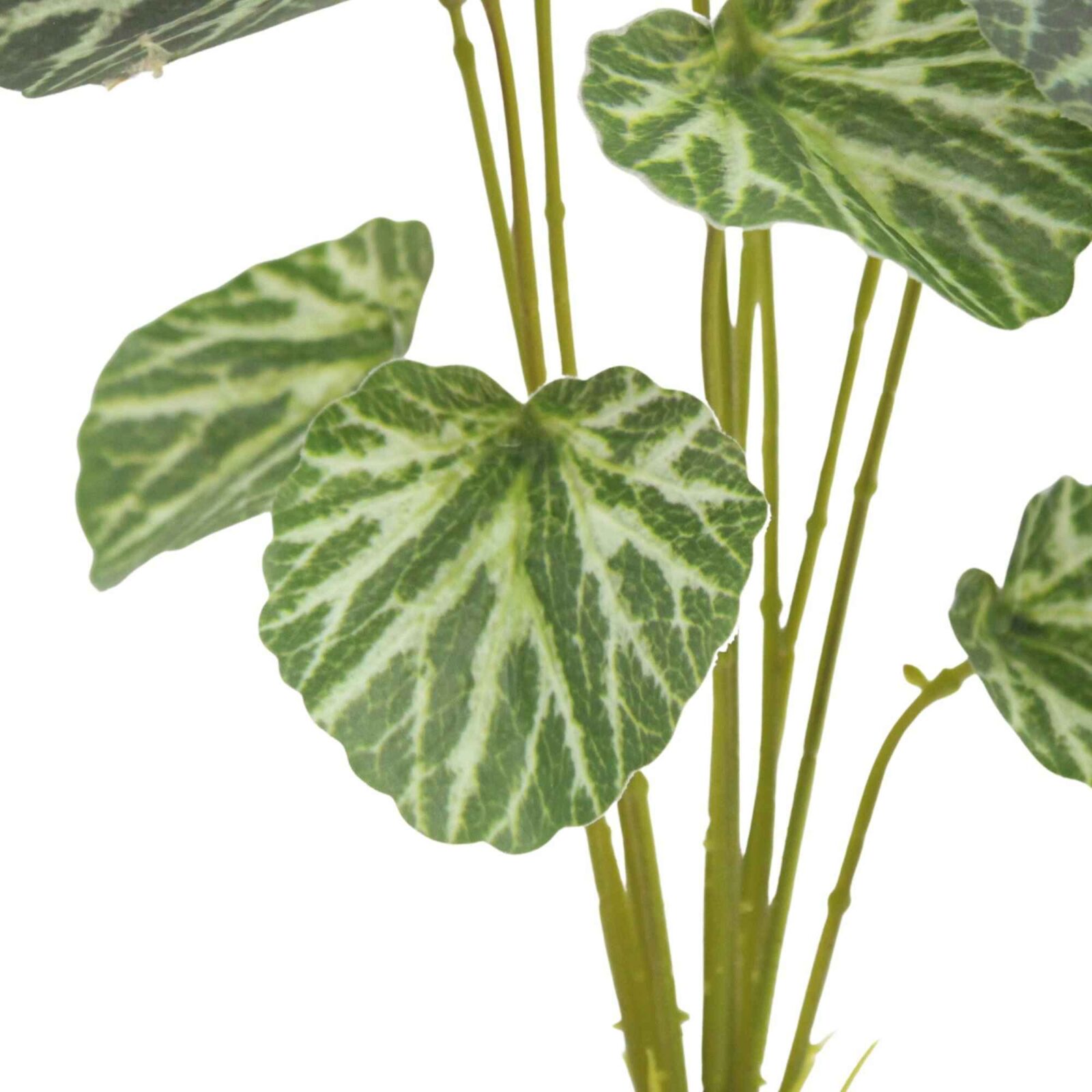 Künstlicher grüner Begonien-Blatt-Strauch - Bild 5