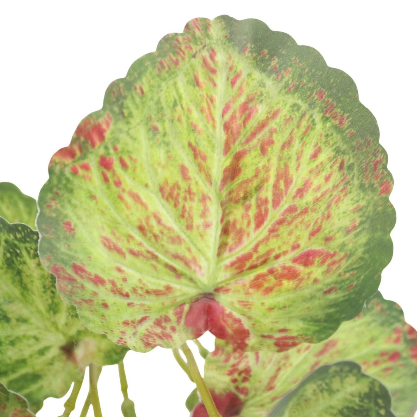 Künstlicher grüner Begonien-Blatt-Strauch - Bild 2