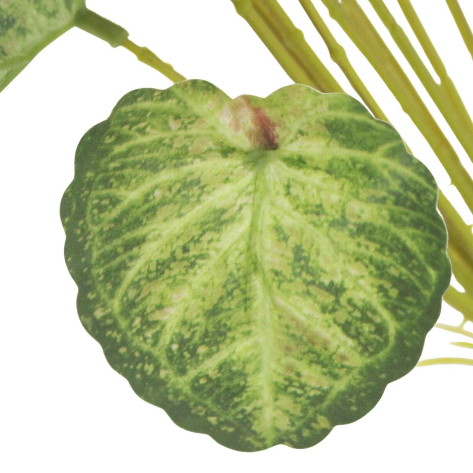 Künstlicher grüner Begonien-Blatt-Strauch - Bild 3