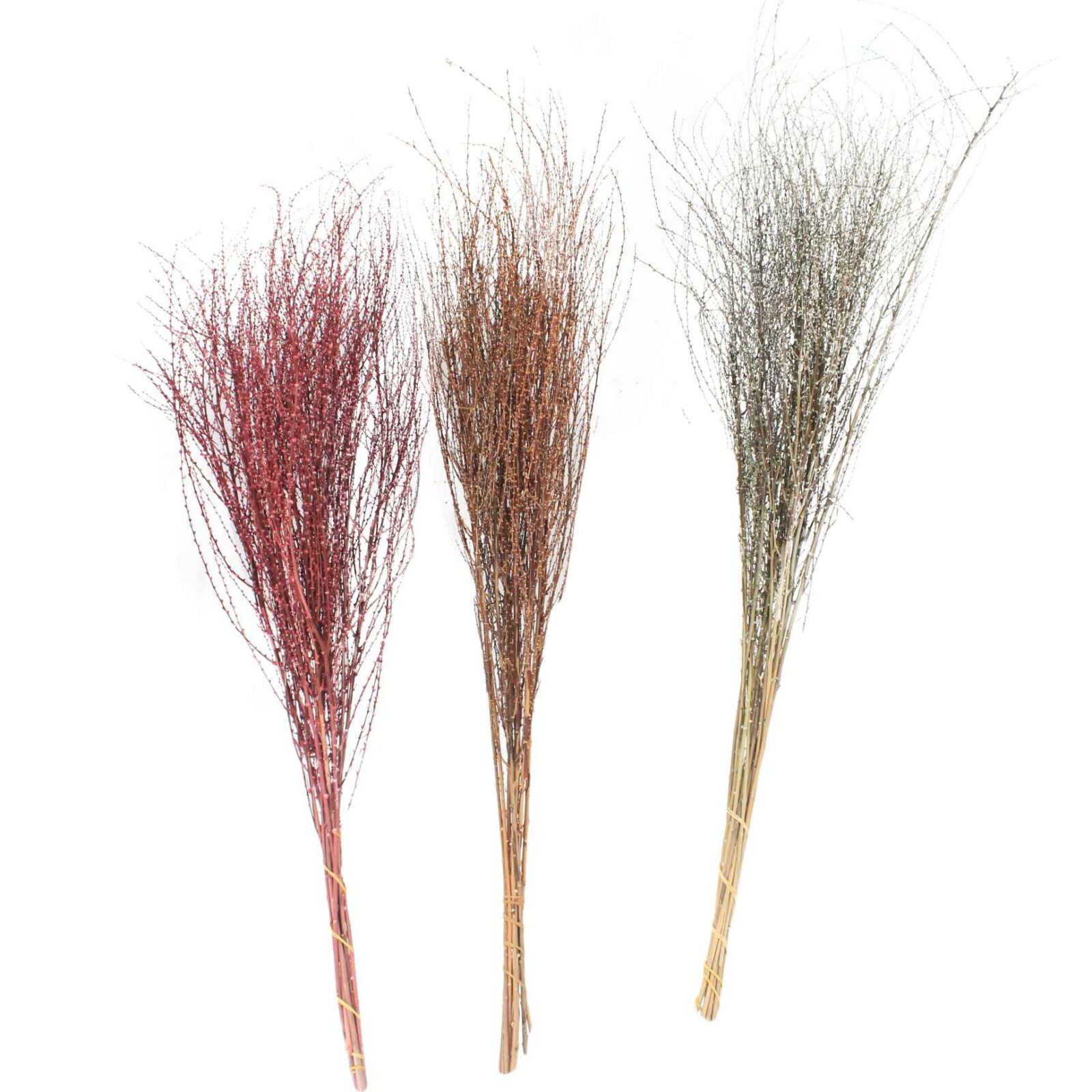 Natural Dried Willow Branches - Image 6