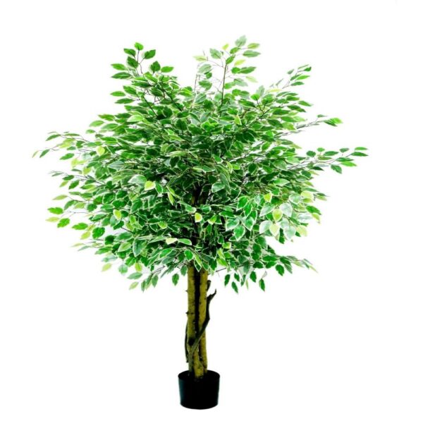 Artificial Ficus Tree with Black Pot