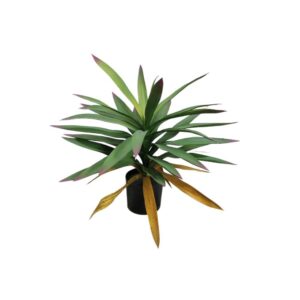 Plastic Pot Plant Artificial Yucca Trees