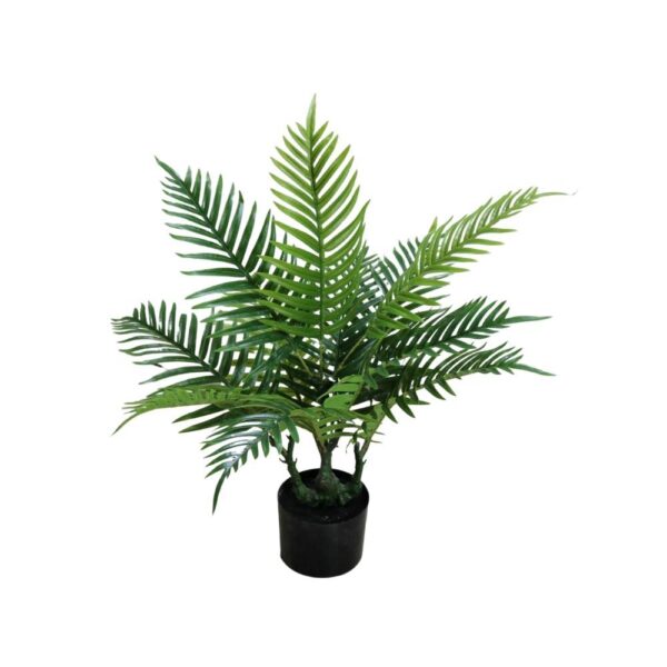 artificial palm tree indoor