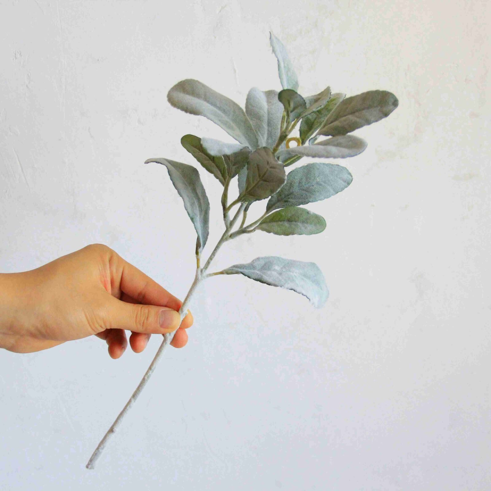 Faux Flocked Lamb's Ear Leaves - Image 3