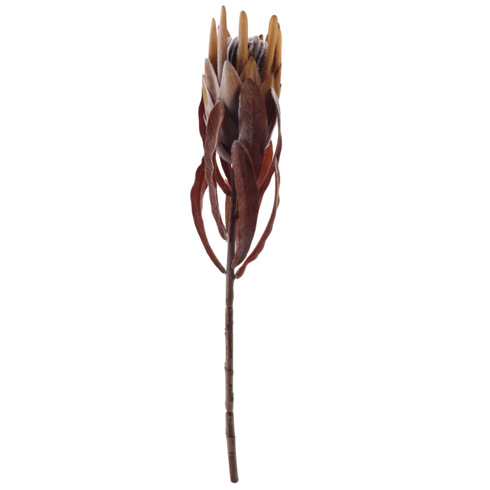 Brown Faux Protea Stem
