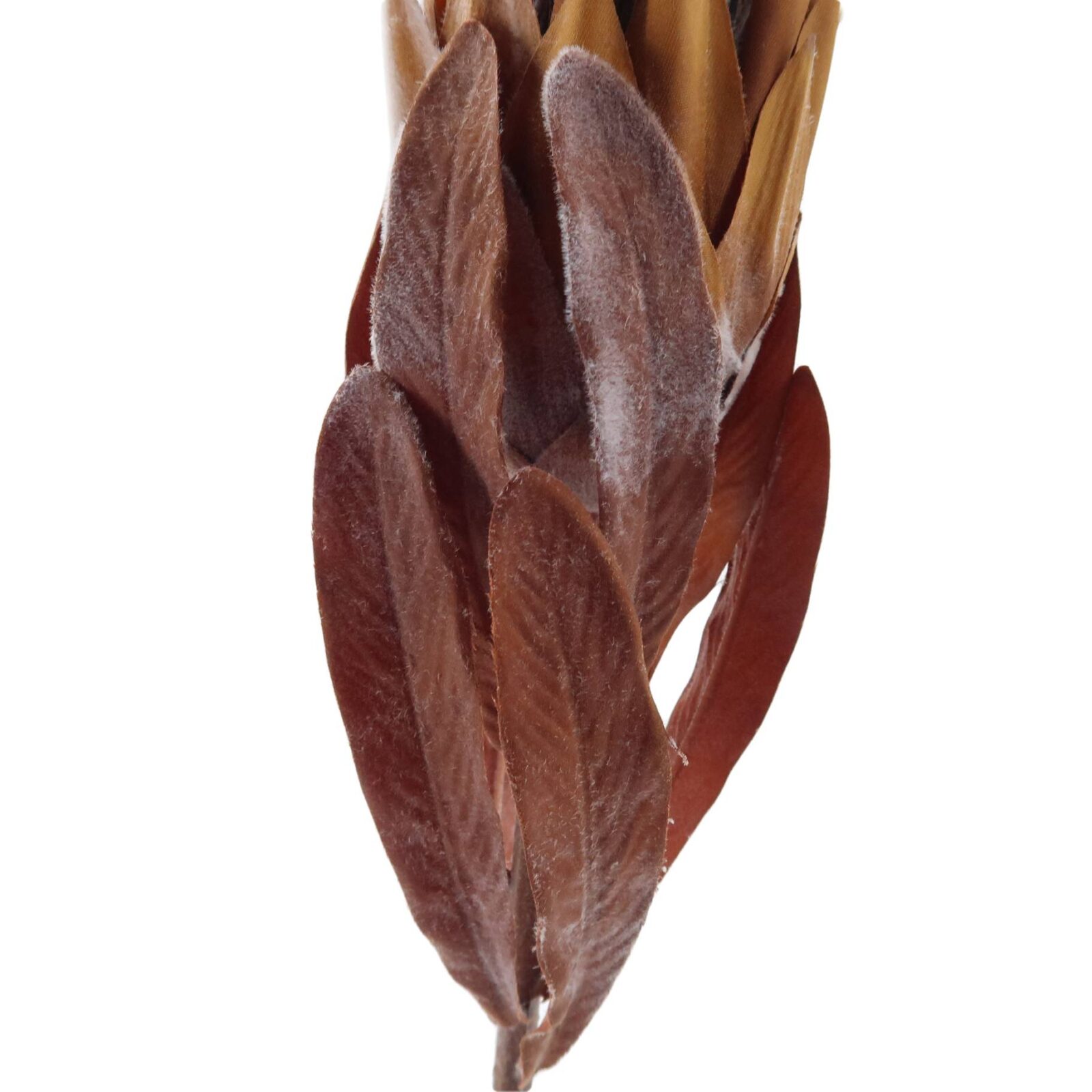 Brown Faux Protea Stem - Image 3
