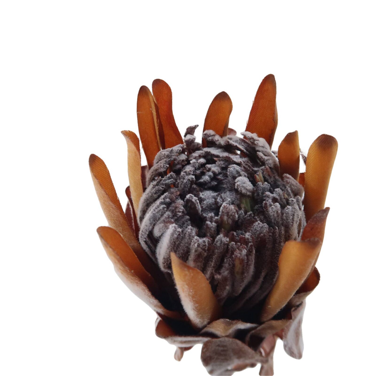 Brown Faux Protea Stem - Image 2