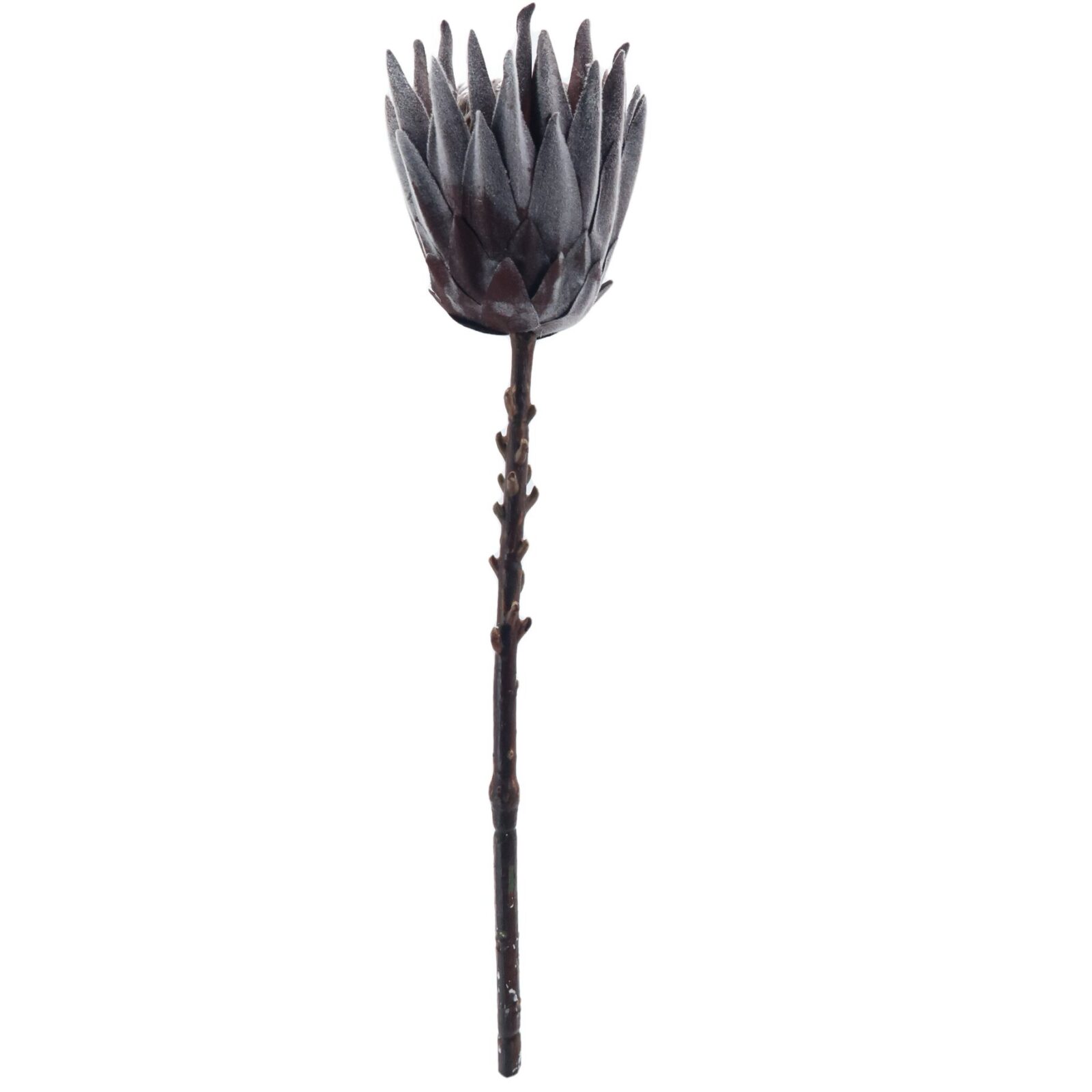 Artificial King Protea Flower Brown