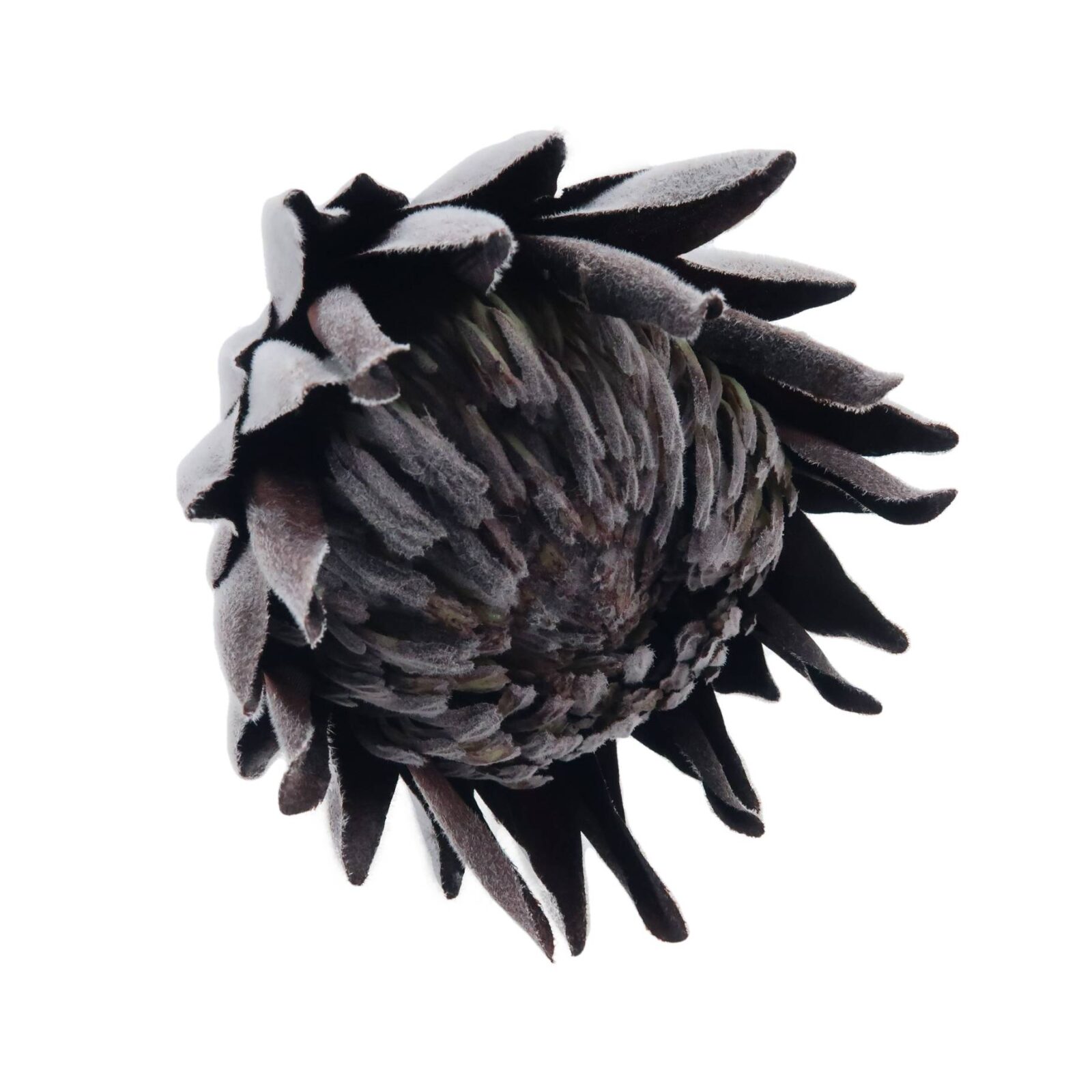 Artificial King Protea Flower Brown - Image 2