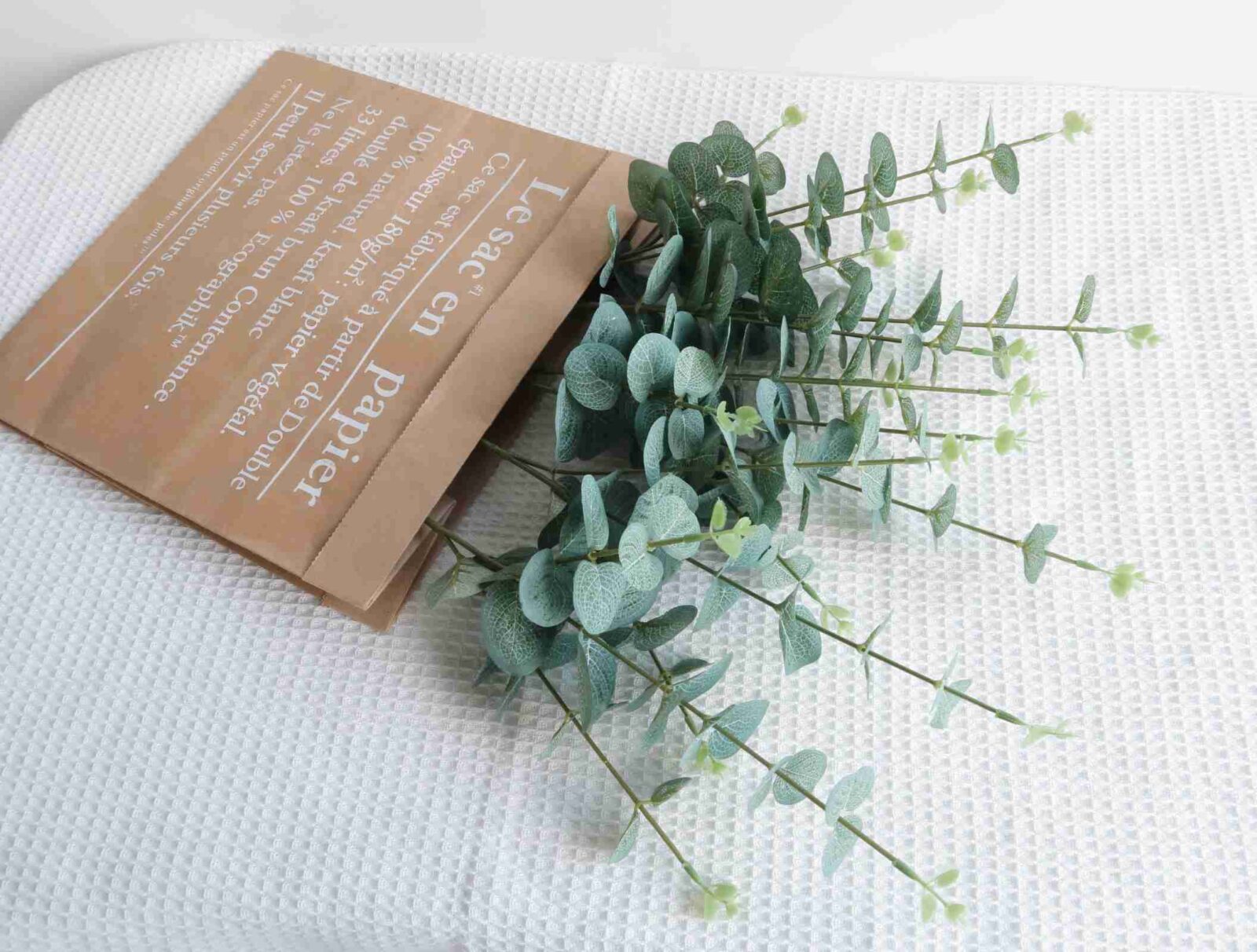 Green Eucalyptus Branch - Image 5