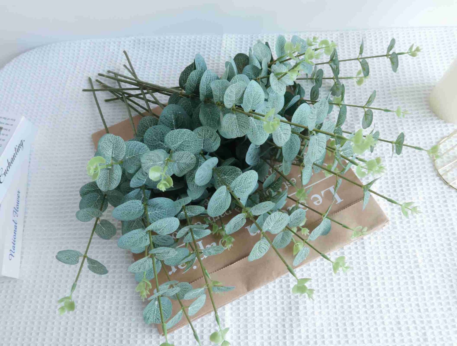 Green Eucalyptus Branch - Image 2