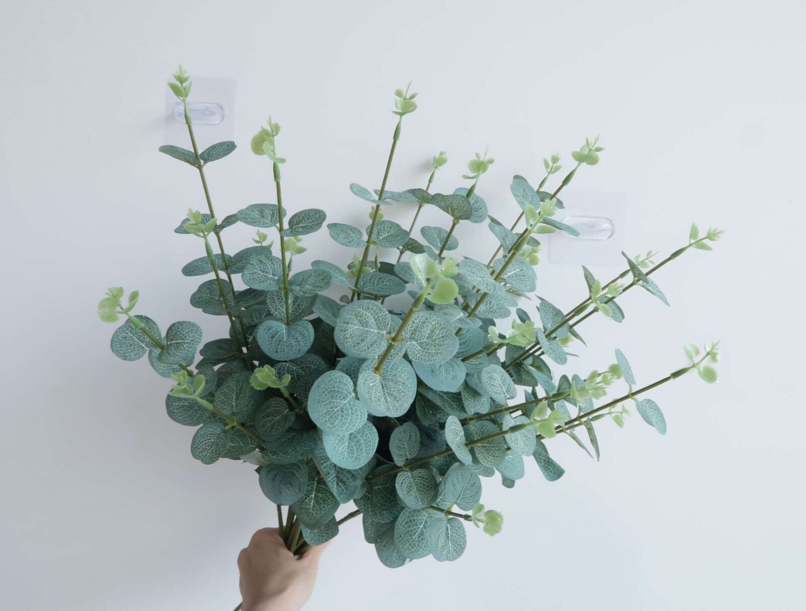 Green Eucalyptus Branch - Image 3