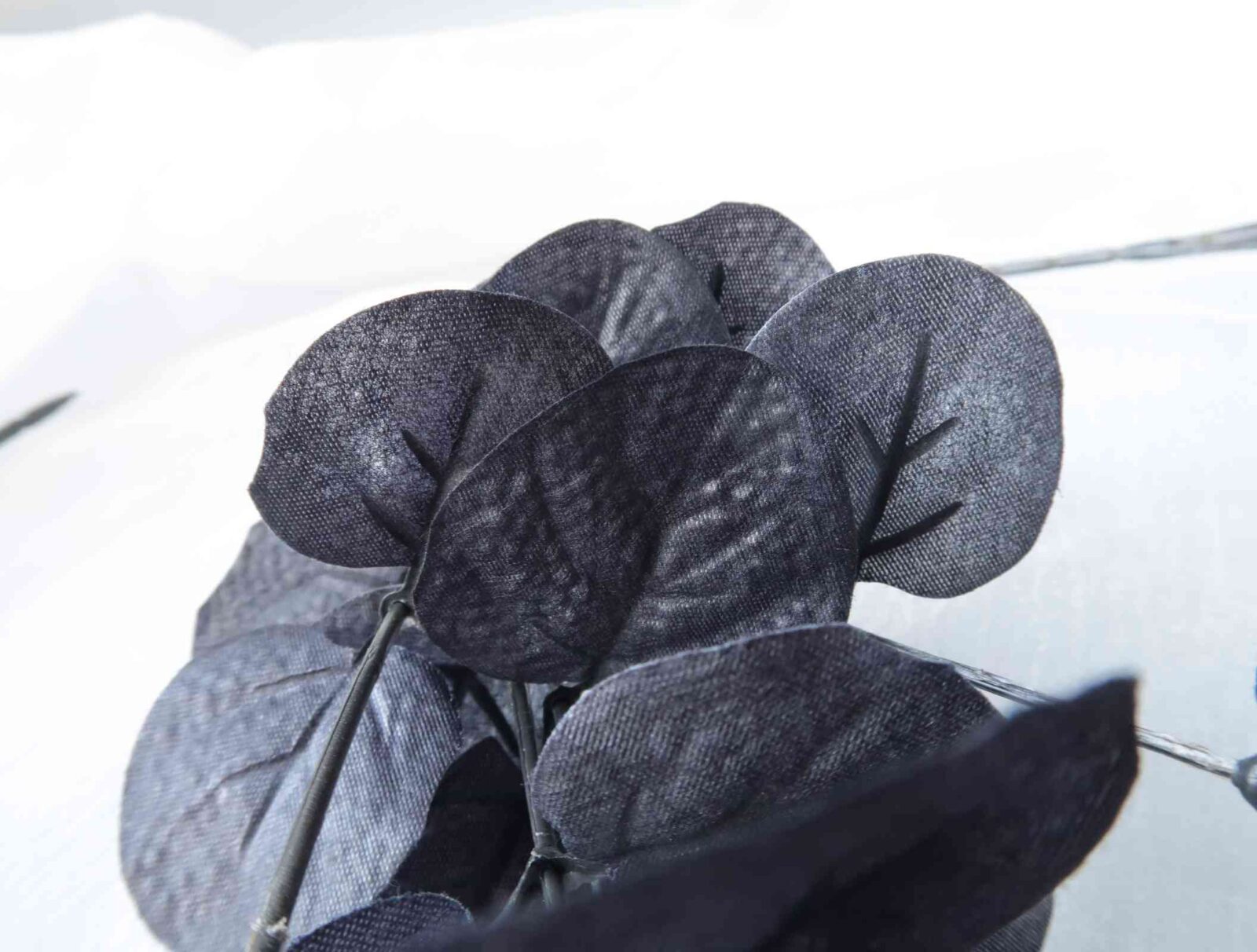 Black Eucalyptus Branch - Image 2