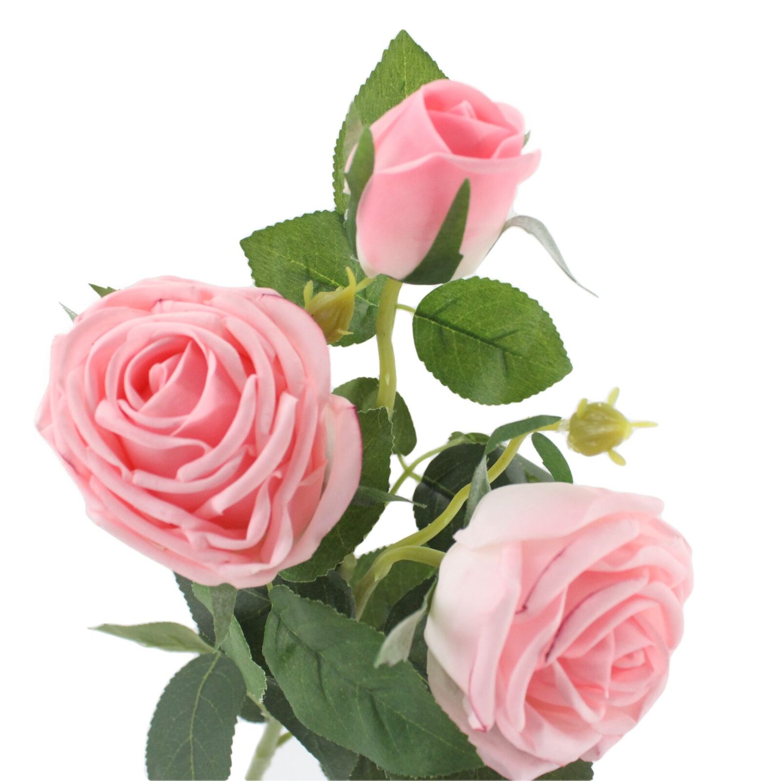 Chic style, romantic aesthetic, floral design and wedding decoration can be used.